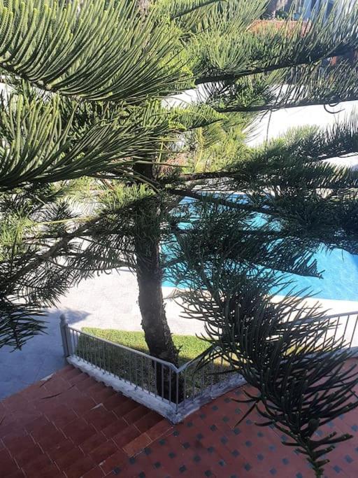 Avec Piscine A Tangier